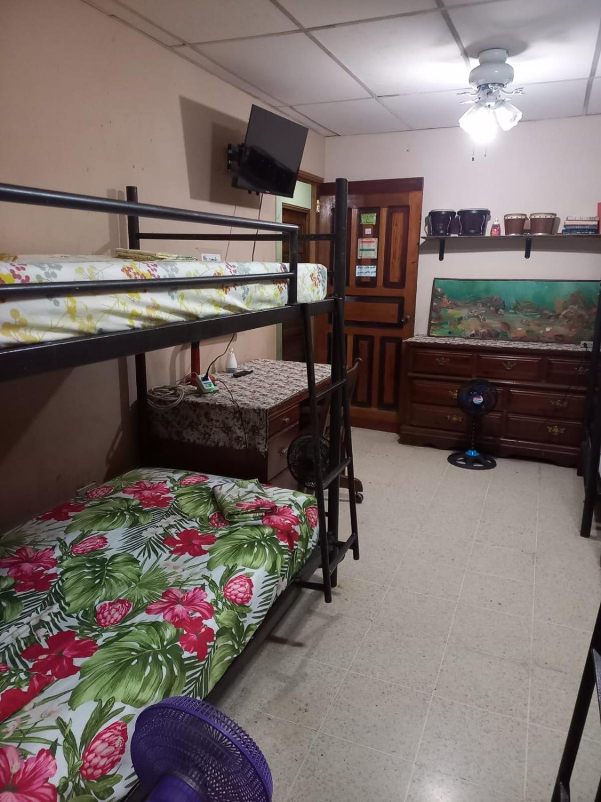 Pacasa Hostel David Zewnętrze zdjęcie