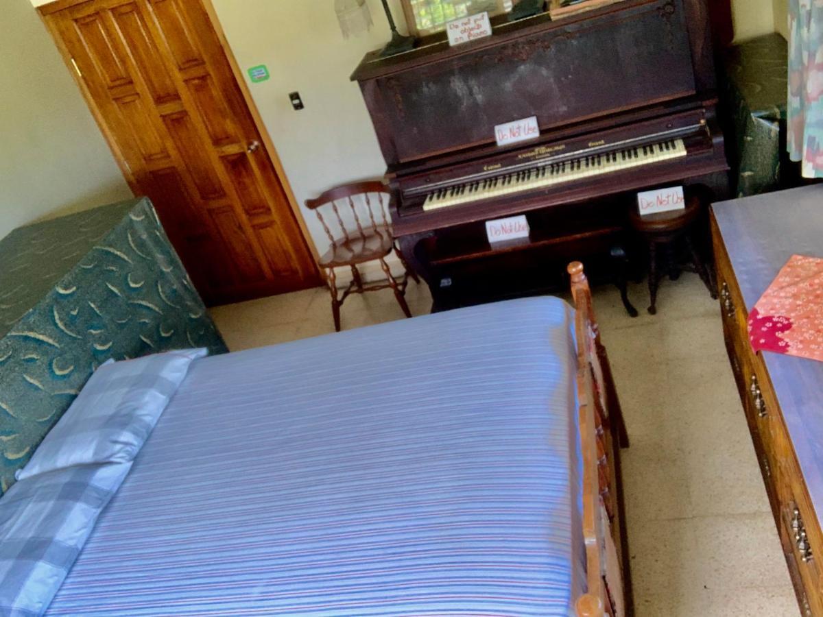 Pacasa Hostel David Zewnętrze zdjęcie