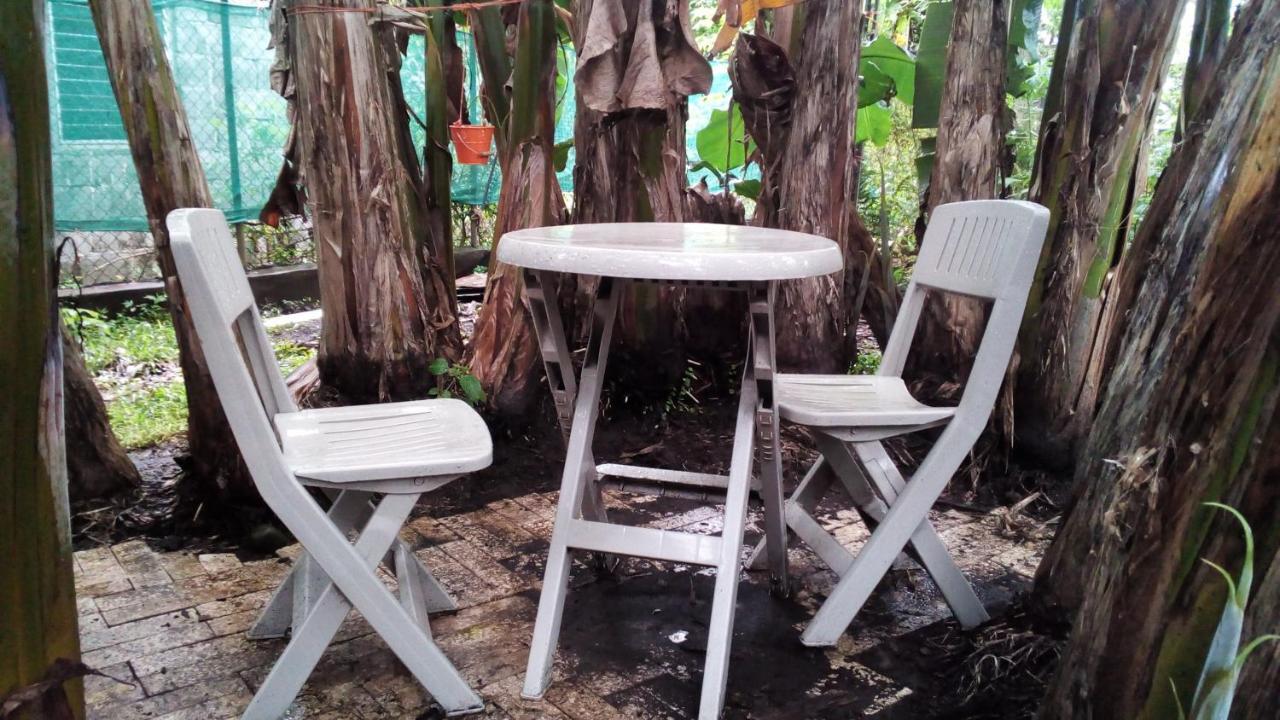 Pacasa Hostel David Zewnętrze zdjęcie